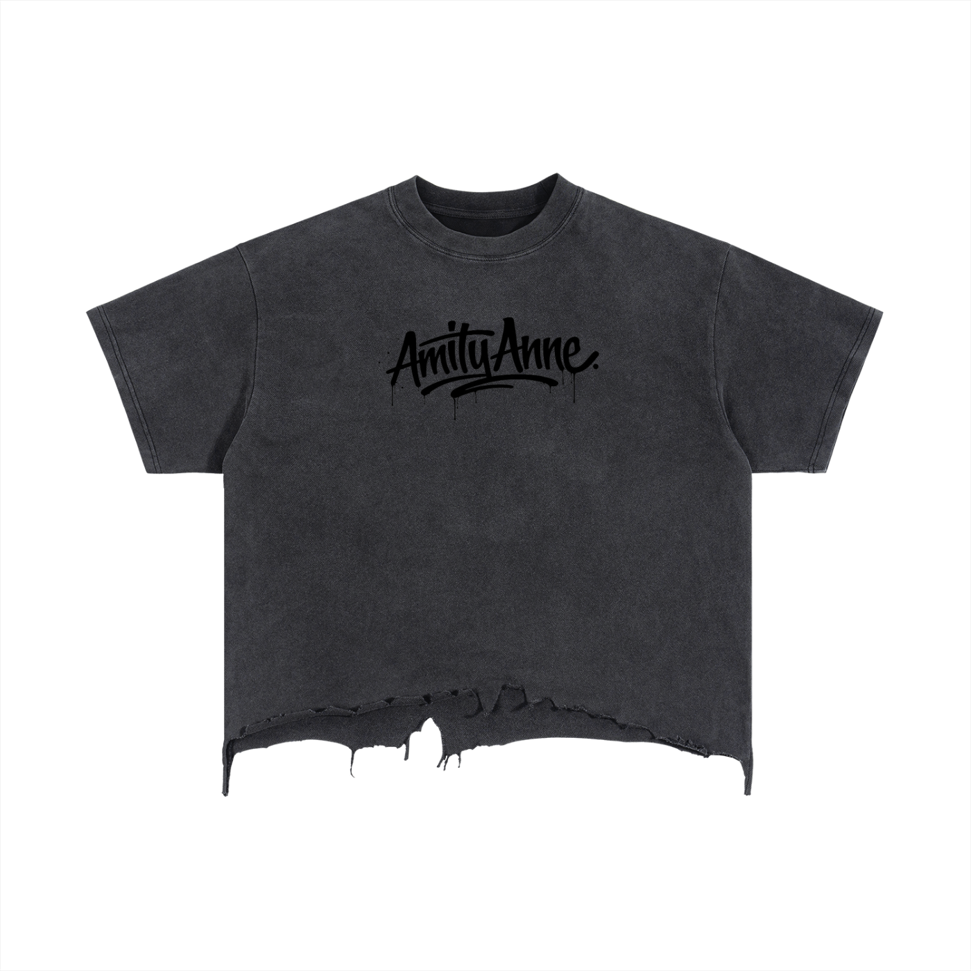 Amity Anne Distressed Women's T-Shirt